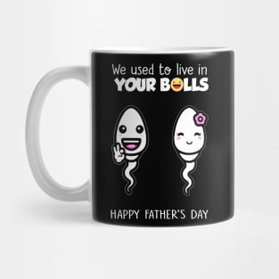 Funny Father's Day We Used To Live In Your Balls Mug